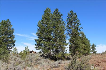 202 Falcon Ridge