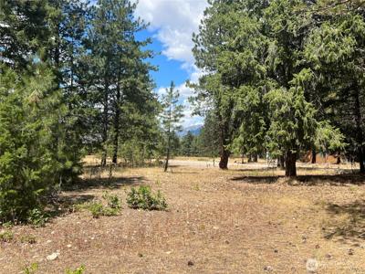 4 Mazama Meadows