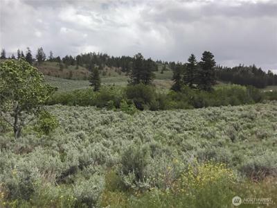 44 Palmer Mountain
