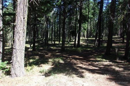 0 Elk Springs