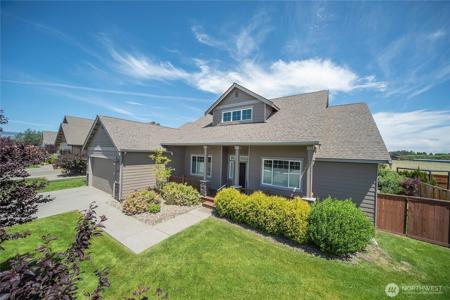2504 Dandelion