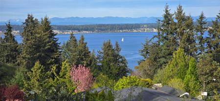3834 Passage View