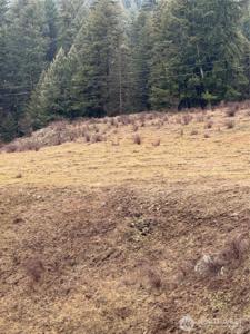 0 Lot 39 Mountain View