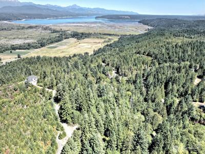 12 Acres Webb Hill