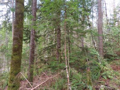0 XXX Lake Cushman