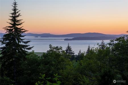 15802 Mountain