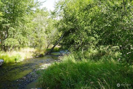 113 Wolf Fork