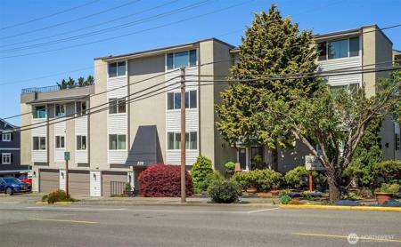 325 Walnut