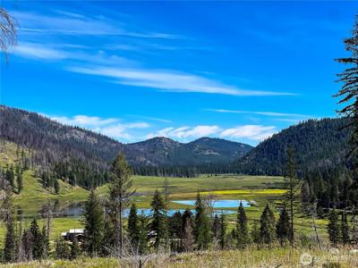 0 Bonaparte Lake