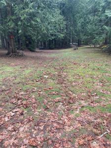 5900 Lake Cushman