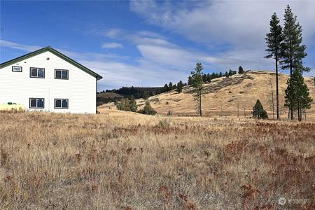 81 Rose Valley