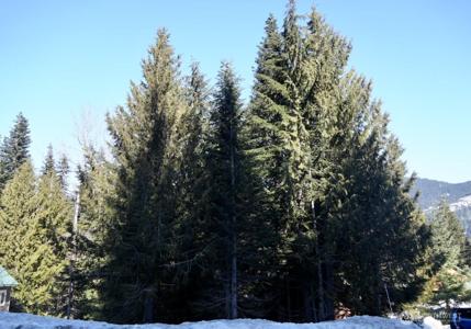 0 - Lot 56 Snoqualmie