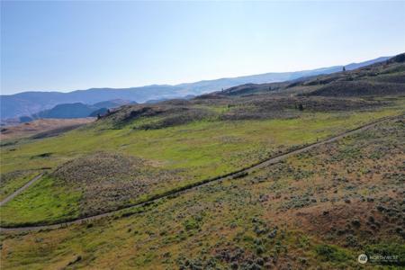 2222 TBD Ellemeham Mtn Rd