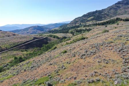 1121 TBD Ellemeham Mtn Rd