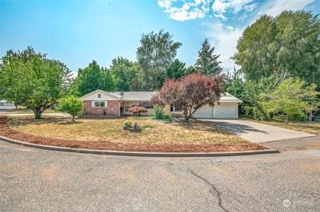 122 White Birch