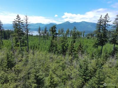 4 Mt. Walker View
