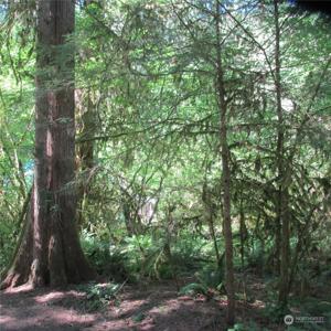 10333 Glacier Rim