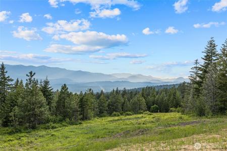 51 Eagle Ridge