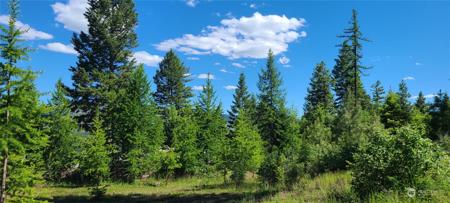 0 Lot 1` Old Kettle Falls
