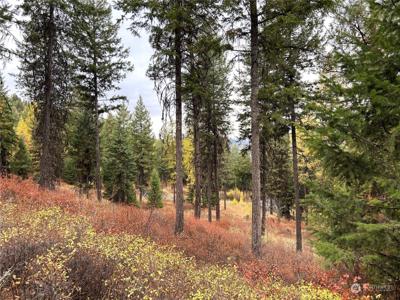 0 TBD Old Kettle Falls