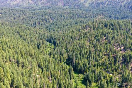 0 Forest Service Rd