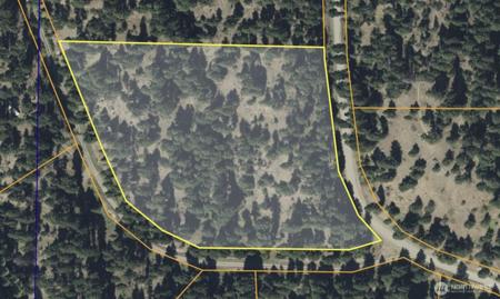 142 Pine Chee
