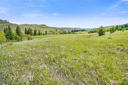 111 Moose Mountain
