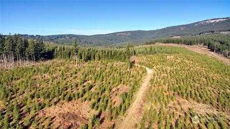 2 Jones  Creek