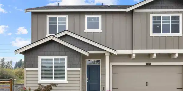 2817 Dapple Gray