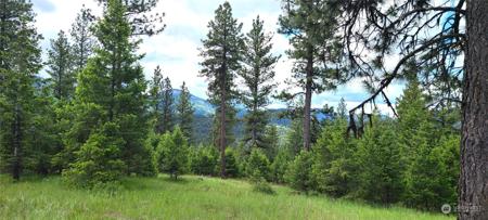 0 Lot 2 Old Kettle Falls