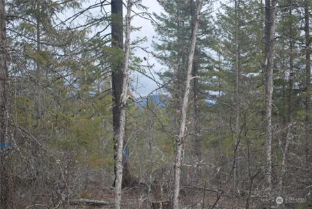 7 Greyback Mtn