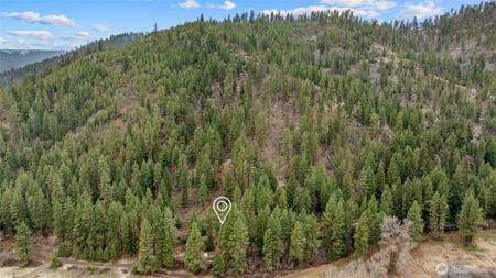 11 Cougar Gulch
