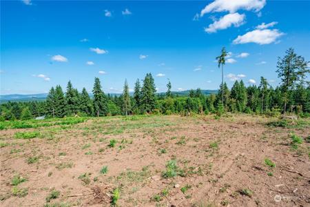 0 Silver Lake Lot 6