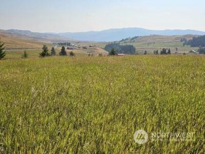 35 Moose Mountain