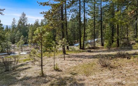 676 Forest Ridge