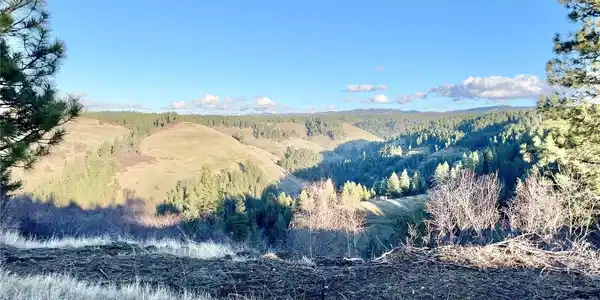 0 Lewis Peak