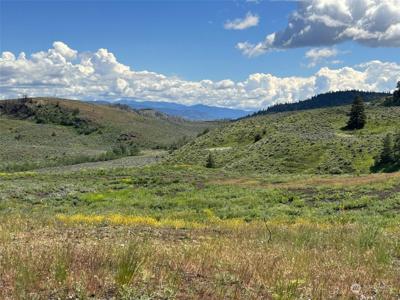836 TBD Ellemeham Mountain