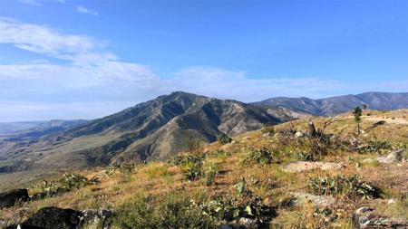 44 Sky Ridge