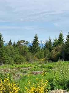 1 Lone Fir Dr E