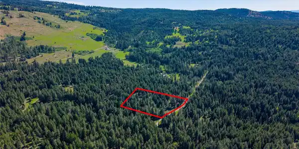 45 Spring Meadow