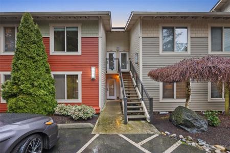 4309 Blue Heron