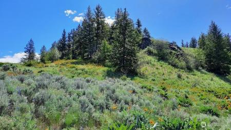 0 TBD Windmill Mountain