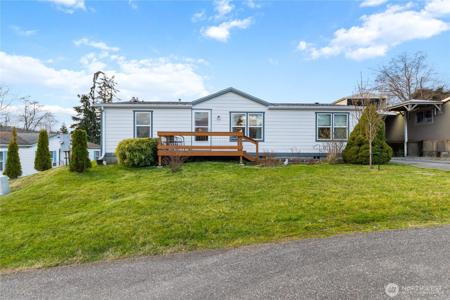 24167 Mahonia