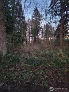 14308 Yelm SE