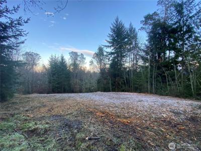 0 Chelsamish