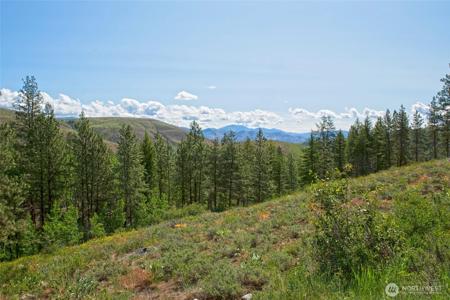 0 LOT 70 Whitebark