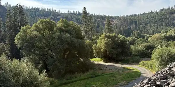 32900 Hawk Creek Ranch Rd N