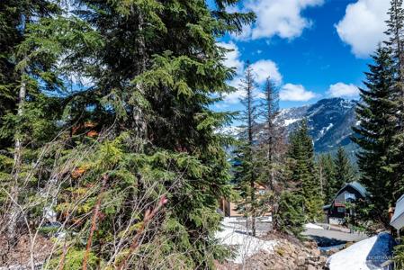 1 XX Arlberg