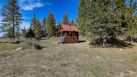 60 Cayuse Mnt