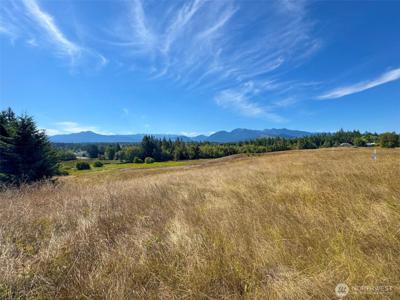 9999 Olympic Meadows, Parcel 11